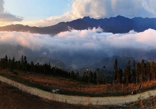 Sotaydulich Sotay Dulich Khampha Kham Pha Bui Rung may Sa Pa Sapa