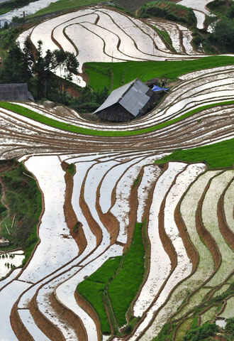 Sotaydulich Sổ tay du lịch so tay du lich Sotay Dulich Khampha Kham Pha Bui Ruong bac thang mua nuoc do