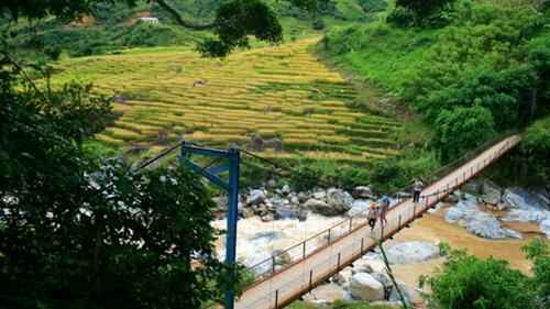 KinhNghiemDuLich.org  Ruong bac thang o Tay Nguyen