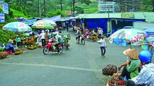 KinhNghiemDuLich.org  Tam Đảo trong biển mây