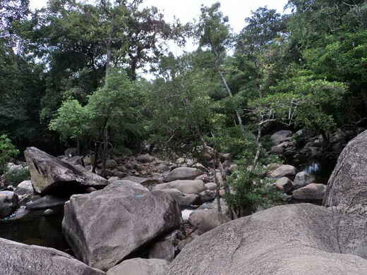 KinhNghiemDuLich.org Thac Ba giua nui rung hung vi