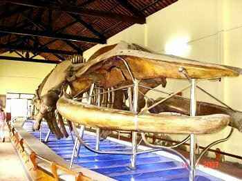 Tour Phan Thiết – Bàu Sen – Bùn khoáng nóng