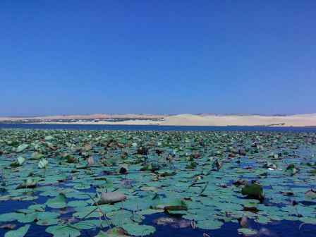 KinhNghiemDuLich.org Tour Phan Thiet Bau Sen Bung khoang nong