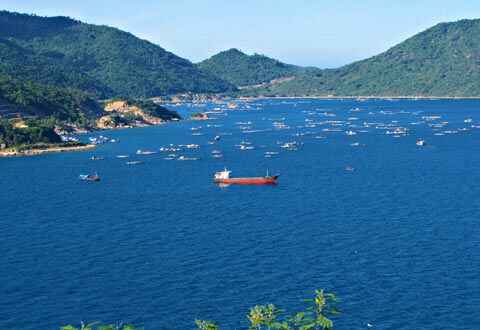 Sotaydulich Sotay Dulich Khampha Kham Pha Bui Ve dep mui Dai  Lanh