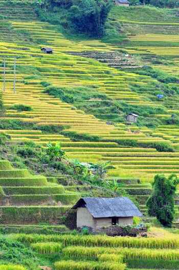 Sotaydulich Sotay Dulich Khampha Kham Pha Bui Ve ky thu noi con song Hong chay vao dat Viet