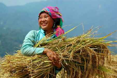 Sotaydulich Sotay Dulich Khampha Kham Pha Bui Ve ky thu noi con song Hong chay vao dat Viet