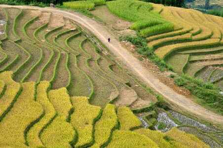 Sotaydulich Sotay Dulich Khampha Kham Pha Bui Ve ky thu noi con song Hong chay vao dat Viet