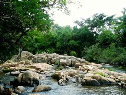 Sotaydulich Sotay Dulich Khampha Kham Pha Bui Vinh  hy bien va rung phan rang thap cham