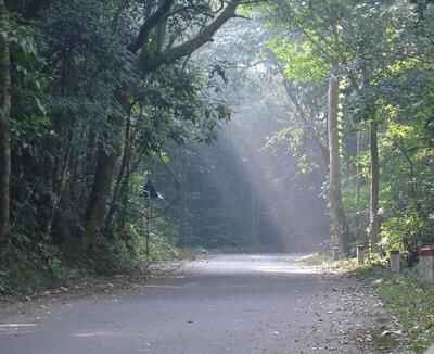 Sotaydulich Sotay Dulich Khampha Kham Pha Bui Vuon quoc gia ba vi hoang so va huyen thoai