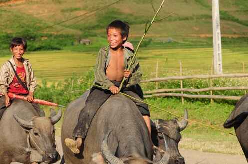 KinhNghiemDuLich.org Xa ngai Mu Cang Chai