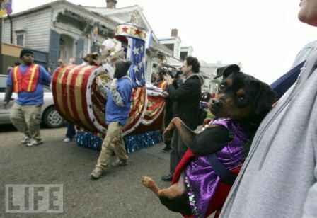 Sotaydulich Sổ tay du lịch so tay du lich Sotay Dulich Khampha Kham Pha Bui Le dieu hanh Barkus Mardi Gras