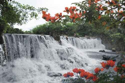 Kinh nghiệm du lịch bụi Đồng Nai