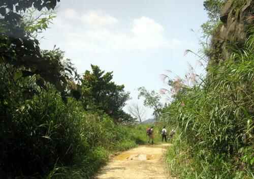 Một vài điểm lưu ý khi trekking Tam Đảo