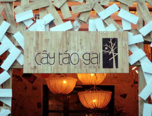 Cafe Cây Táo Gai