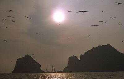 Sotaydulich Sotay Dulich Khampha Kham Pha Bui Nhung hon dao