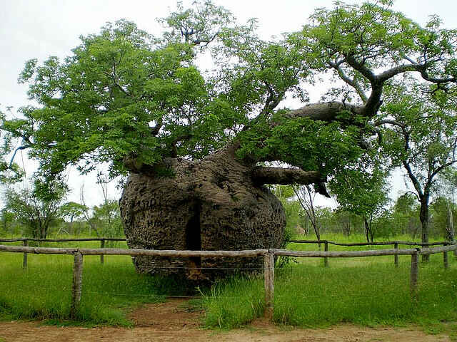 KinhNghiemDuLich.org Noi danh cho nhung ai yeu cay