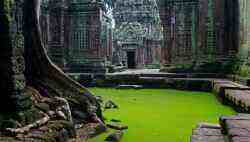 Ta Prohm