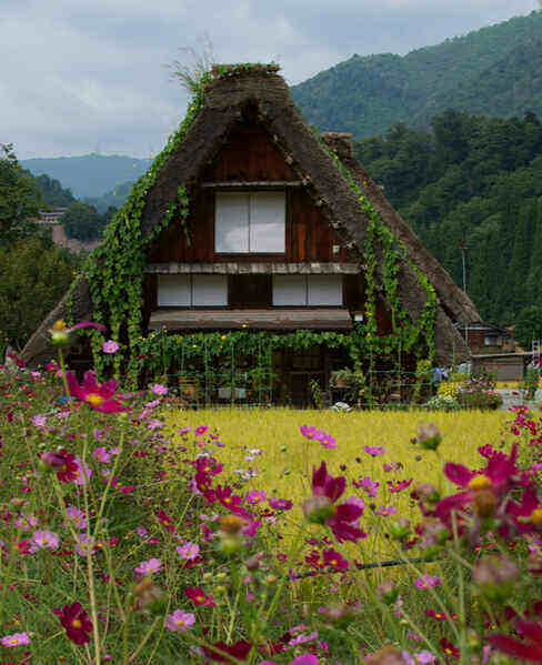 Shirakawa-go