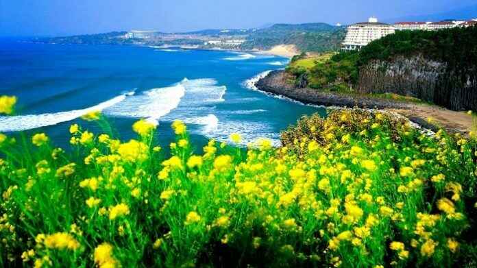 Du lịch đảo Jeju và những điểm hấp dẫn không thể bỏ qua