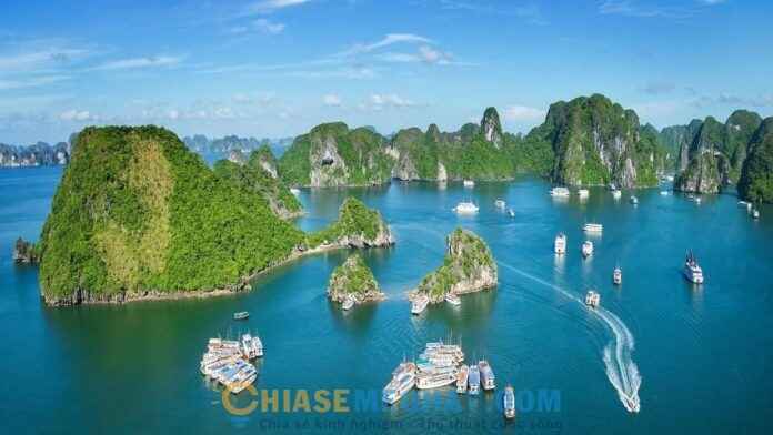 Kinh nghiệm du lịch: Top 10 điểm du lịch hấp dẫn nhất Vịnh Hạ Long